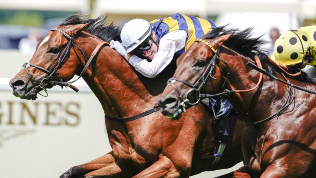 How to watch Royal Ascot 2026 for *FREE* – live How to watch Royal Ascot 2026 for *FREE* – live stream horse racing