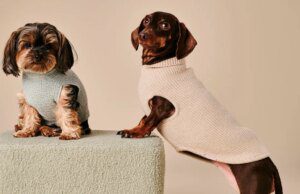 GOSSIP99 : Vogue Retail: Pets