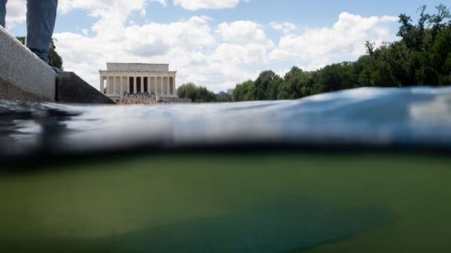 GOSSIP.CO.UK : Donald Trump blames bungled $14m swamp green reflecting