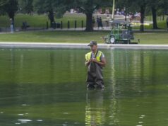 GOSSIP.CO.UK : Donald Trump’s bizarre 24 hours as workers scramble to clean swamp green reflecting pool with bleach