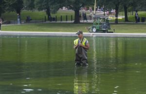 GOSSIP.CO.UK : Donald Trump’s bizarre 24 hours as workers scramble to clean swamp green reflecting pool with bleach
