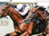 How to watch Royal Ascot 2026 for *FREE* – live stream horse racing How to watch Royal Ascot 2026 for *FREE* – live stream horse racing